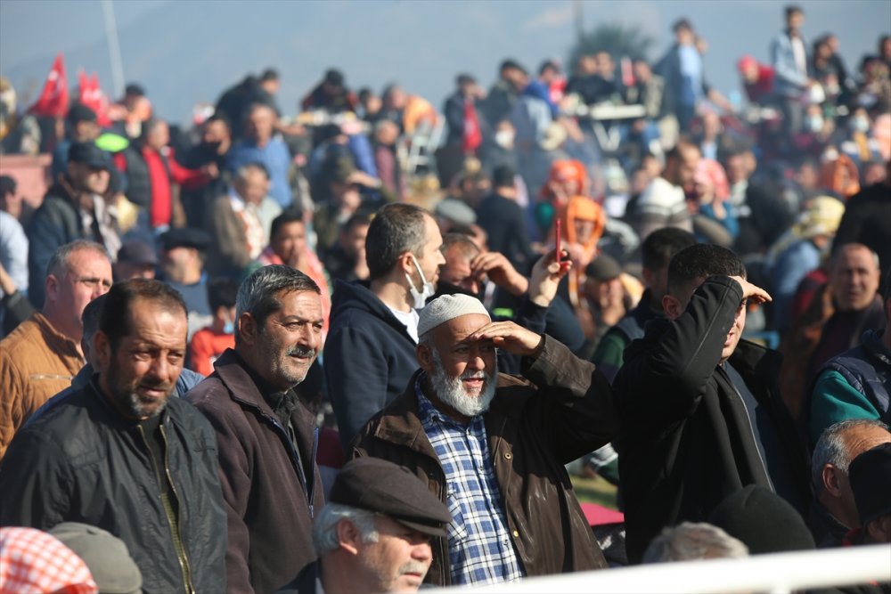 Aydın'da Deve Güreşi Festivali yapıldı
