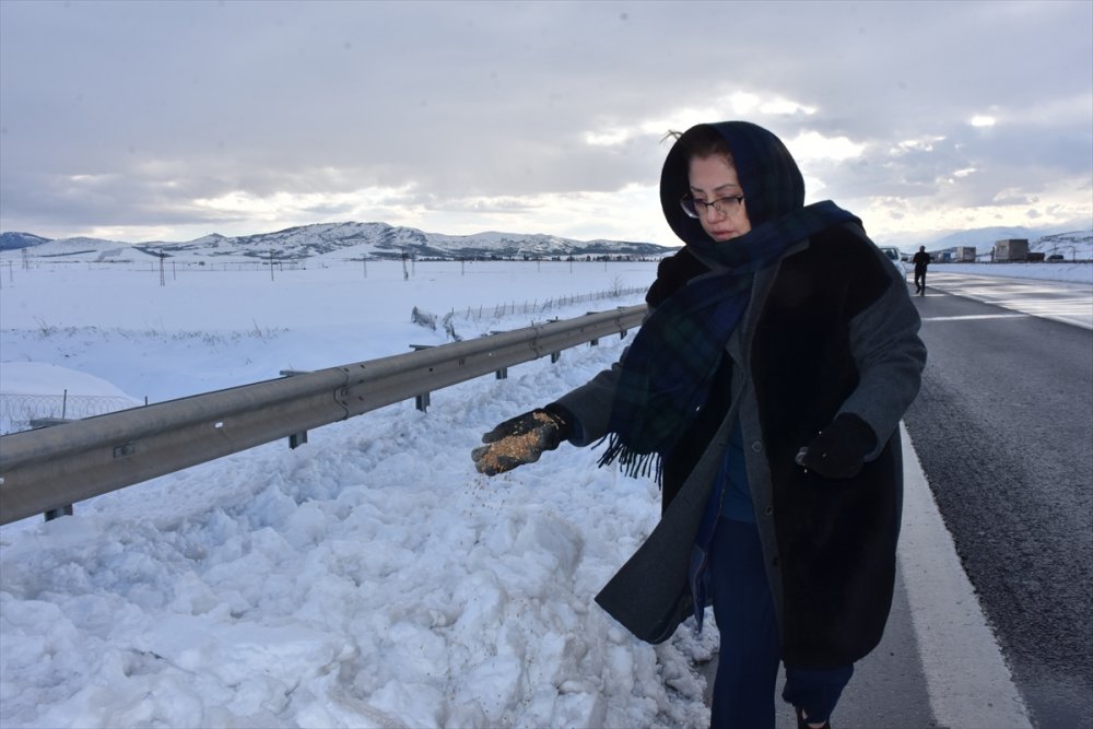 Gaziantep Büyükşehir Belediye Başkanı Şahin, sokak hayvanlarına yem bıraktı