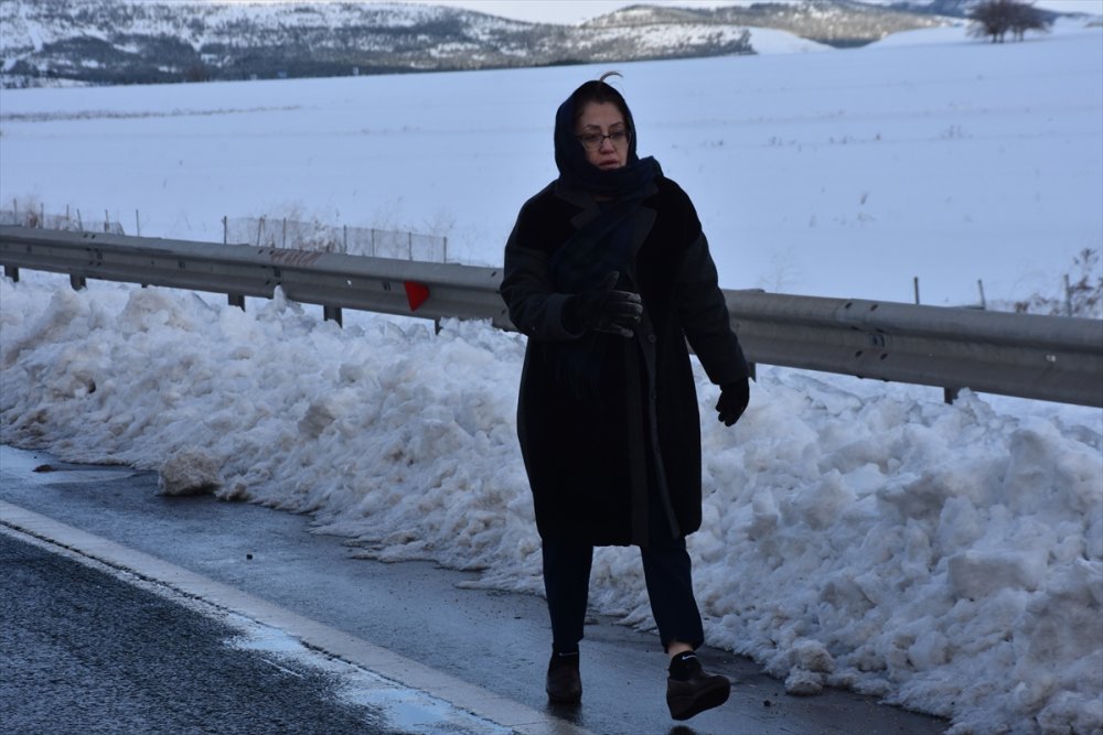 Gaziantep Büyükşehir Belediye Başkanı Şahin, sokak hayvanlarına yem bıraktı