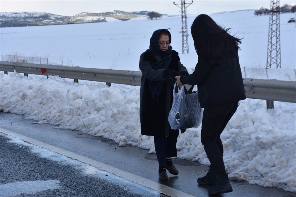 Gaziantep Büyükşehir Belediye Başkanı Şahin, sokak hayvanlarına yem bıraktı