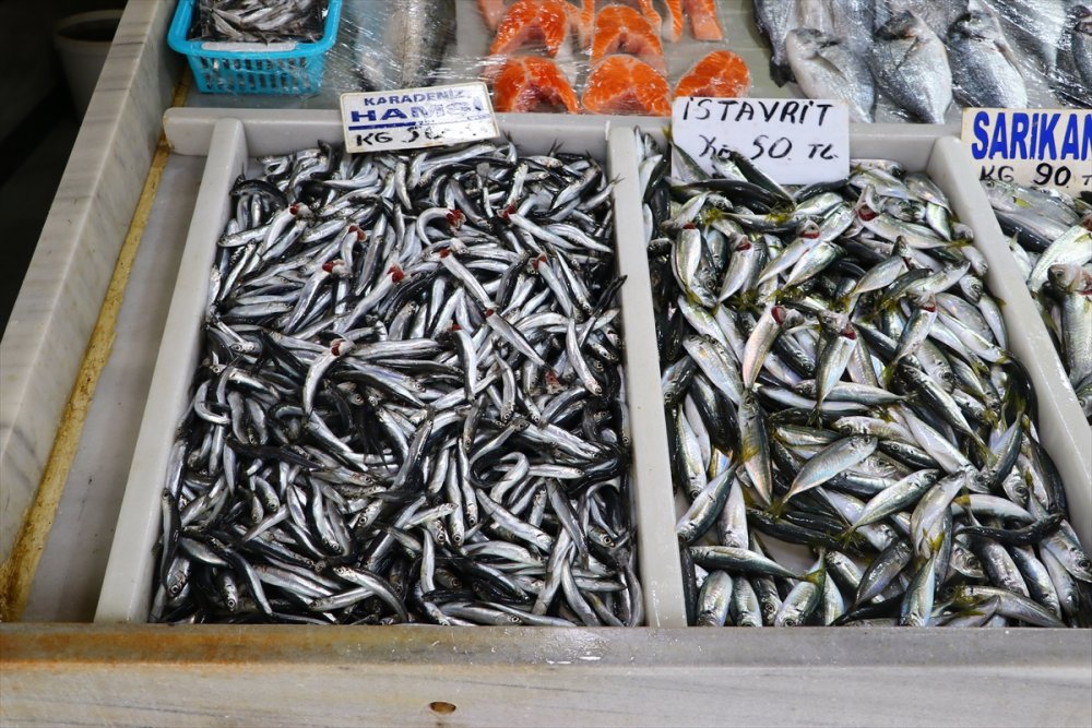 Tekirdağ'da hamsi tezgahların gözdesi oldu