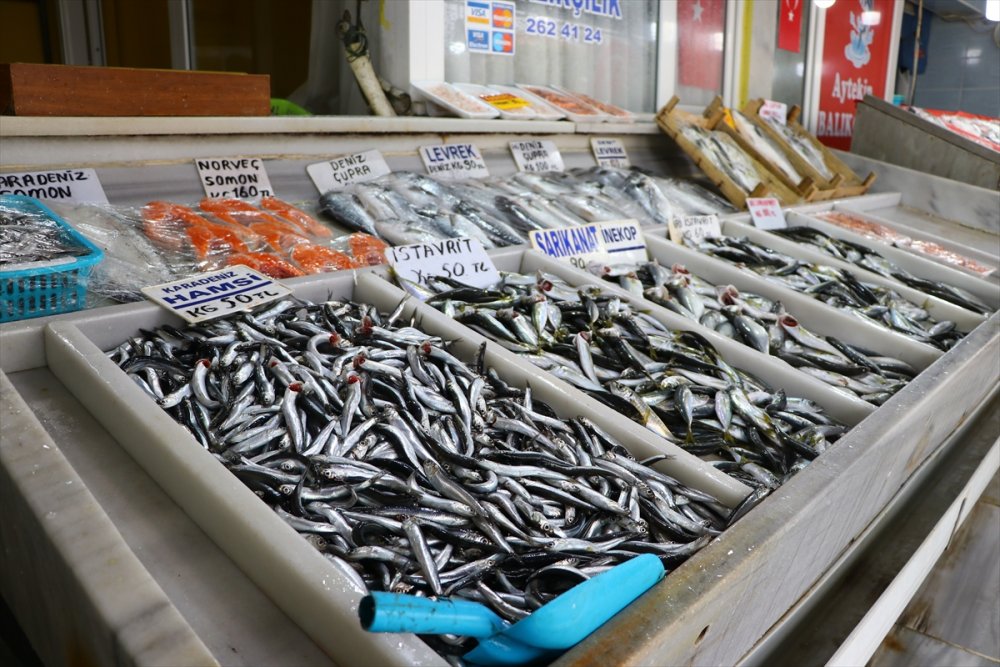 Tekirdağ'da hamsi tezgahların gözdesi oldu