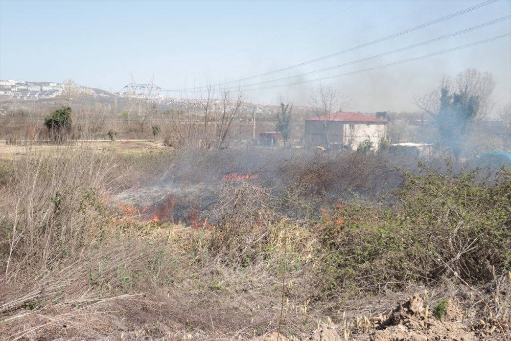 Sakarya'da otluk alanda çıkan yangın evlere sıçramadan söndürüldü