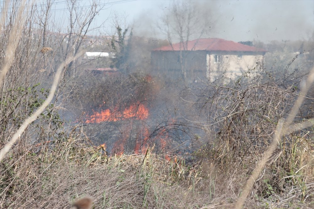 Sakarya'da otluk alanda çıkan yangın evlere sıçramadan söndürüldü