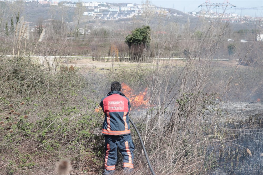 Sakarya'da otluk alanda çıkan yangın evlere sıçramadan söndürüldü