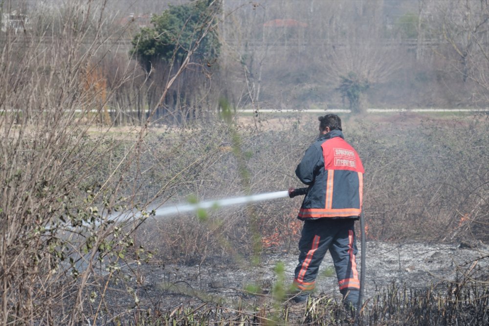 Sakarya'da otluk alanda çıkan yangın evlere sıçramadan söndürüldü