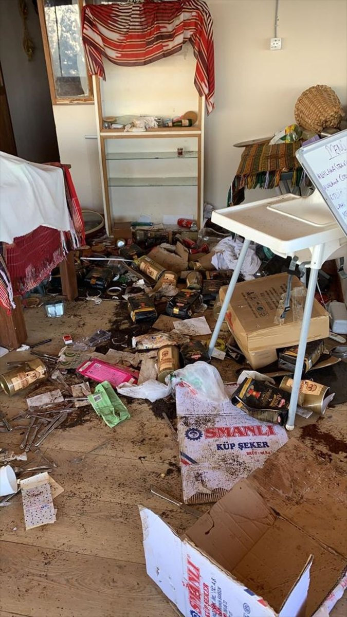 Rize'de yiyecek arayan yaban hayvanları işletmelere zarar verdi