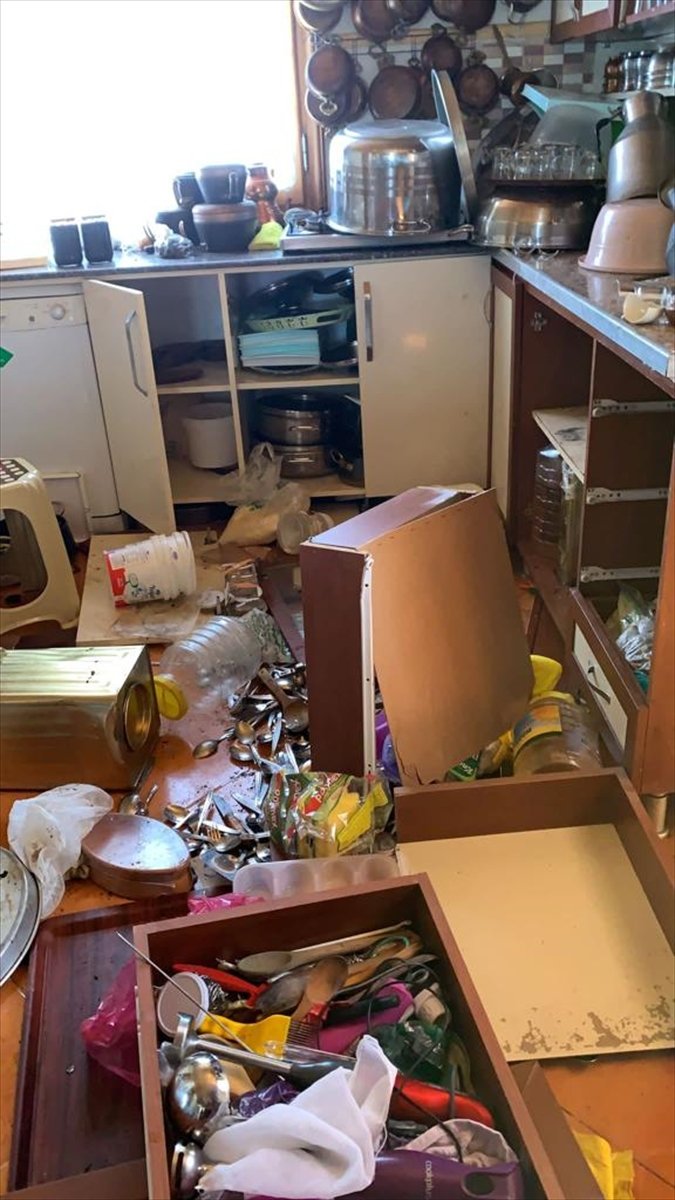 Rize'de yiyecek arayan yaban hayvanları işletmelere zarar verdi