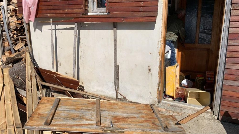 Rize'de yiyecek arayan yaban hayvanları işletmelere zarar verdi