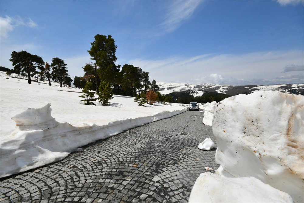 Sarıkamış'ın bir yanı kış bir yanı bahar