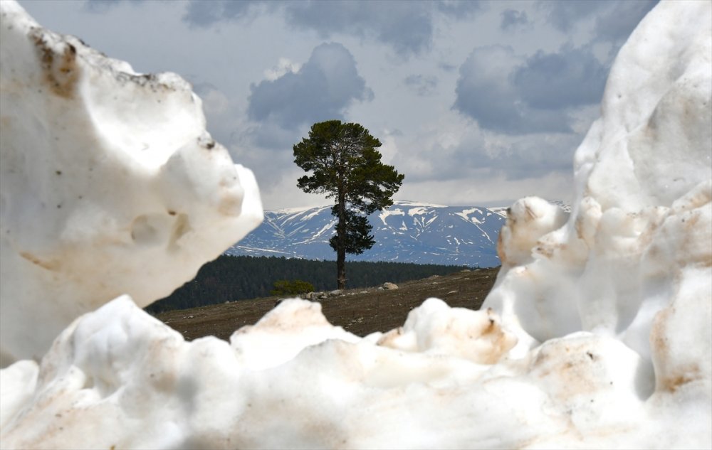 Sarıkamış'ın bir yanı kış bir yanı bahar