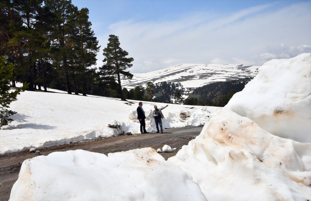 Sarıkamış'ın bir yanı kış bir yanı bahar