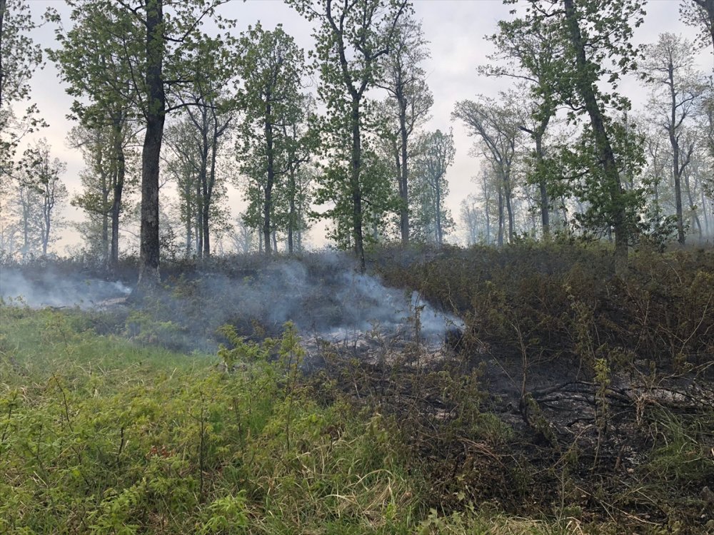 Kırklareli' Kofçaz’da çıkan orman yangını söndürüldü