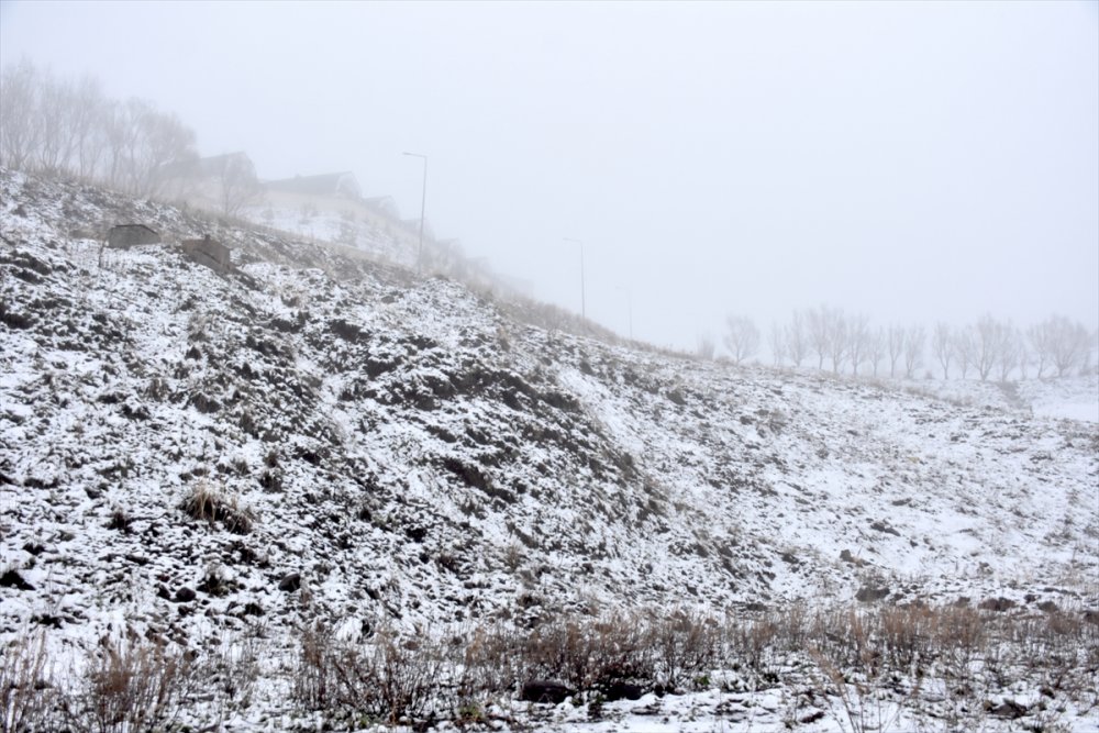 Erzurum ve Ardahan'ın yüksek kesimleri mayısta yağan karla beyaza büründü