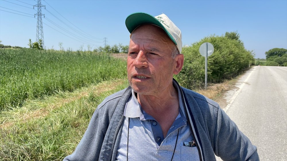 Edirne'de kısa süre etkili olan dolu ekili alanlara zarar verdi