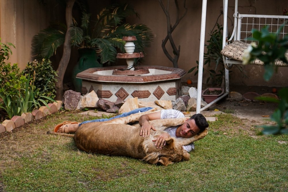Iraklı genç bir yıldır evinde yavru aslan besliyor