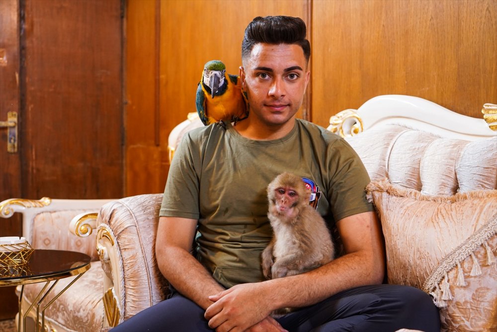 Iraklı genç bir yıldır evinde yavru aslan besliyor