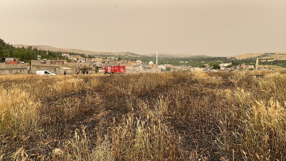 Gaziantep'te 15 dönüm tarım arazisi yangında zarar gördü
