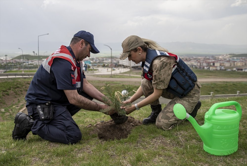 Erzurum'da "Çevre Haftası" kapsamında fidan dikildi, çöpler toplandı