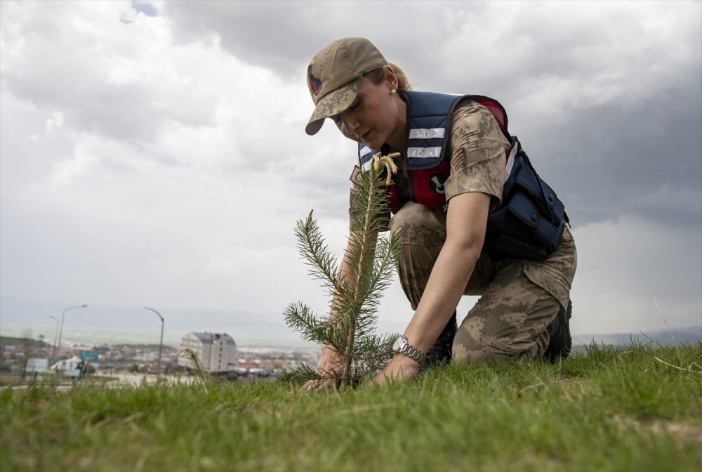 Erzurum'da "Çevre Haftası" kapsamında fidan dikildi, çöpler toplandı