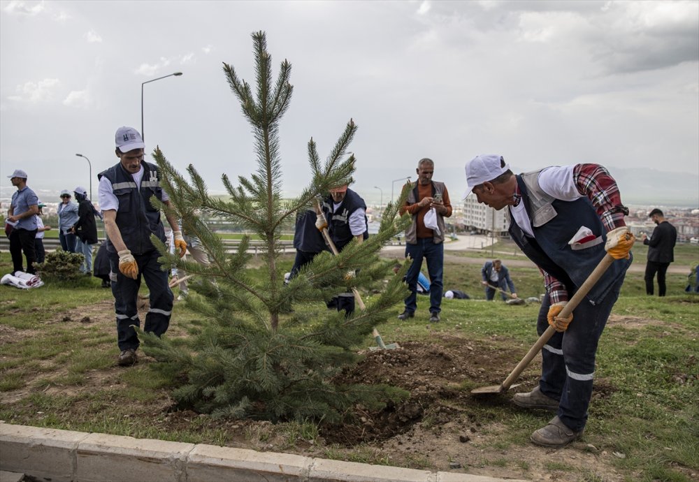 Erzurum'da "Çevre Haftası" kapsamında fidan dikildi, çöpler toplandı