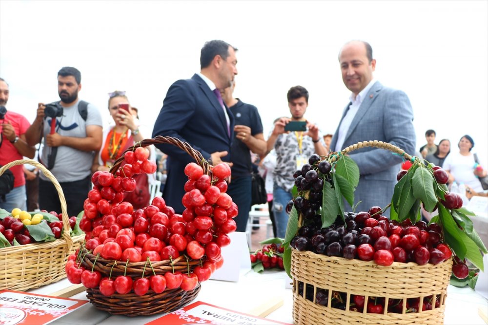 Tekirdağ'da "En İyi Kiraz" yarışması düzenlendi