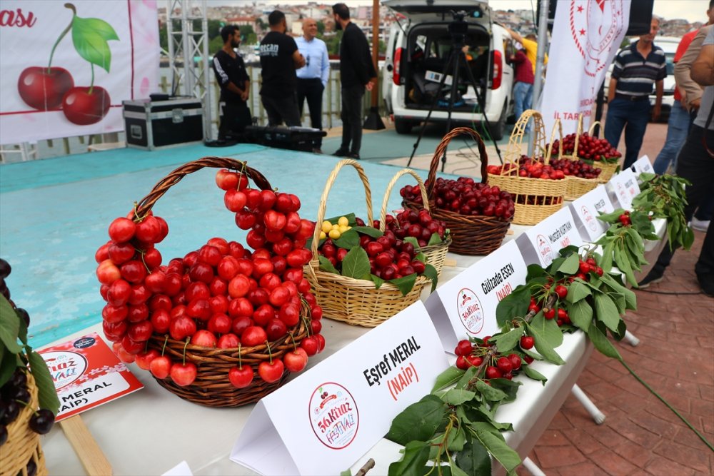 Tekirdağ'da "En İyi Kiraz" yarışması düzenlendi