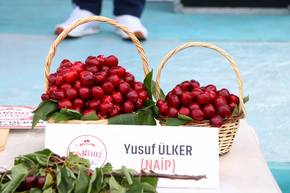 Tekirdağ'da "En İyi Kiraz" yarışması düzenlendi
