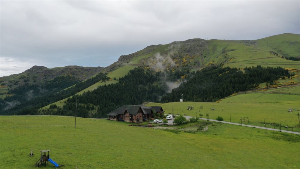 Giresun'un doğa harikası yaylalarında turizm hareketliliği başladı