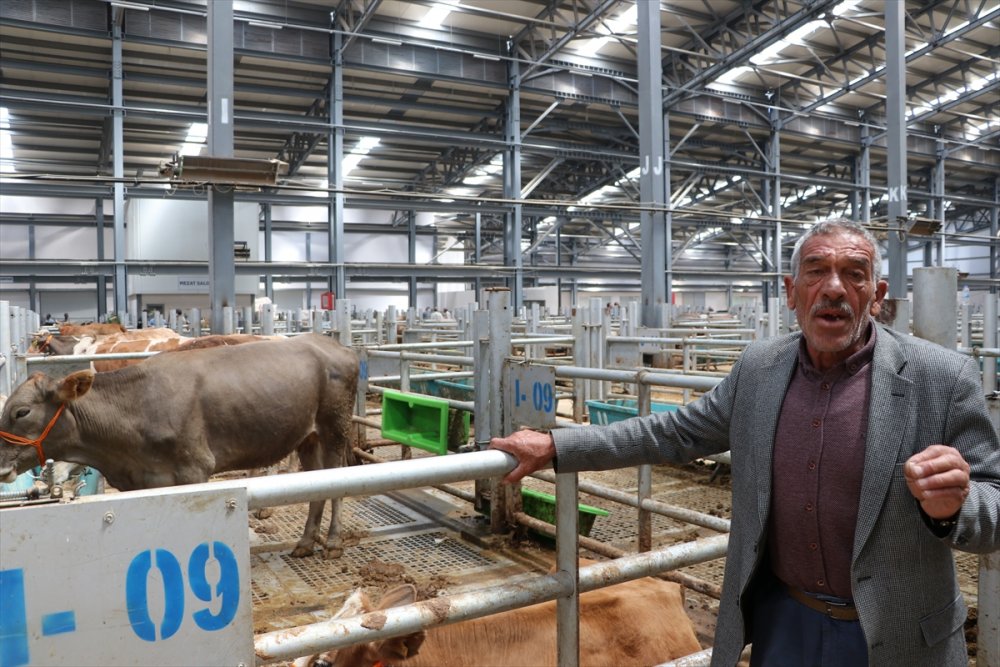 Doğu Anadolu'dan büyükşehirlere kurbanlık sevkiyatı başladı