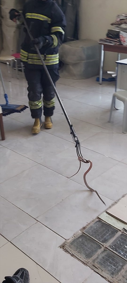 Fethiye'de iş yerine giren yılan itfaiye ekibince yakalandı