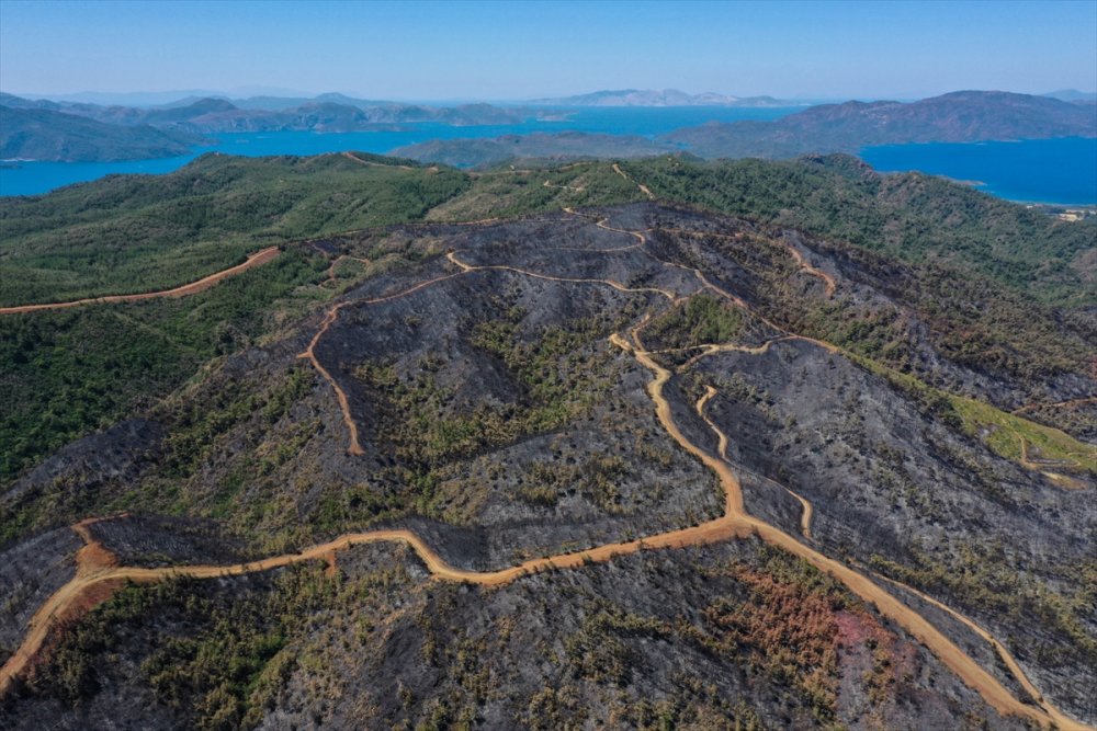 Marmaris'te yanan alanlar havadan görüntülendi