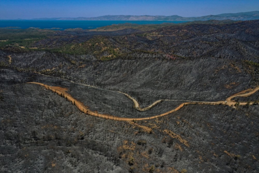 Marmaris'te yanan alanlar havadan görüntülendi