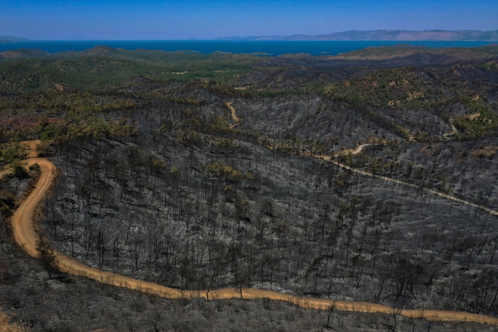 Marmaris'te yanan alanlar havadan görüntülendi