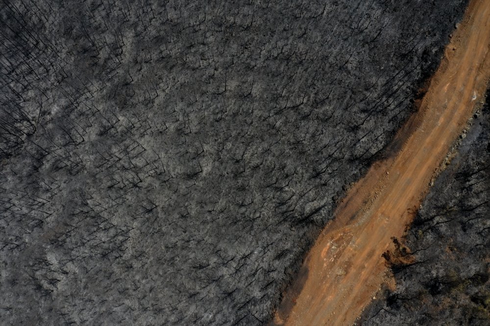 Marmaris'te yanan alanlar havadan görüntülendi