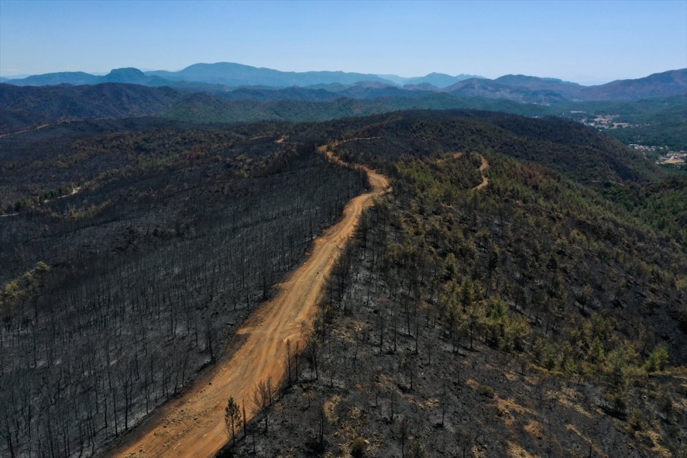 Marmaris'te yanan alanlar havadan görüntülendi