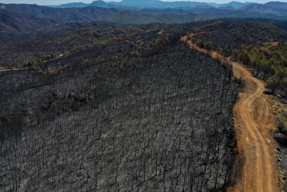 Marmaris'te yanan alanlar havadan görüntülendi