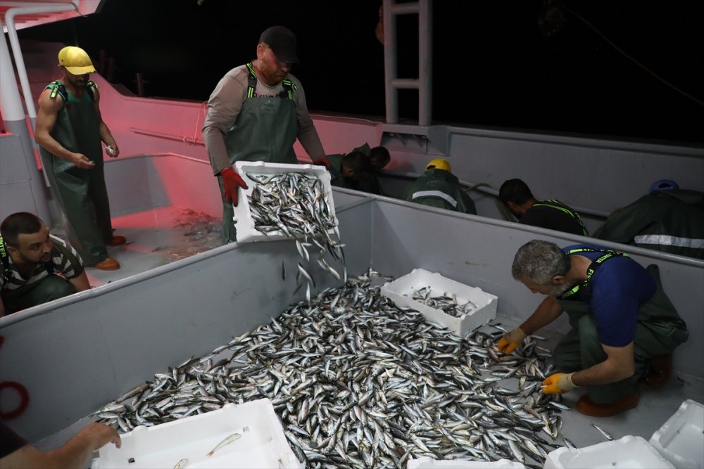 Yasak Bitti Karadenizli balıkçılar "Vira Bismillah" dedi