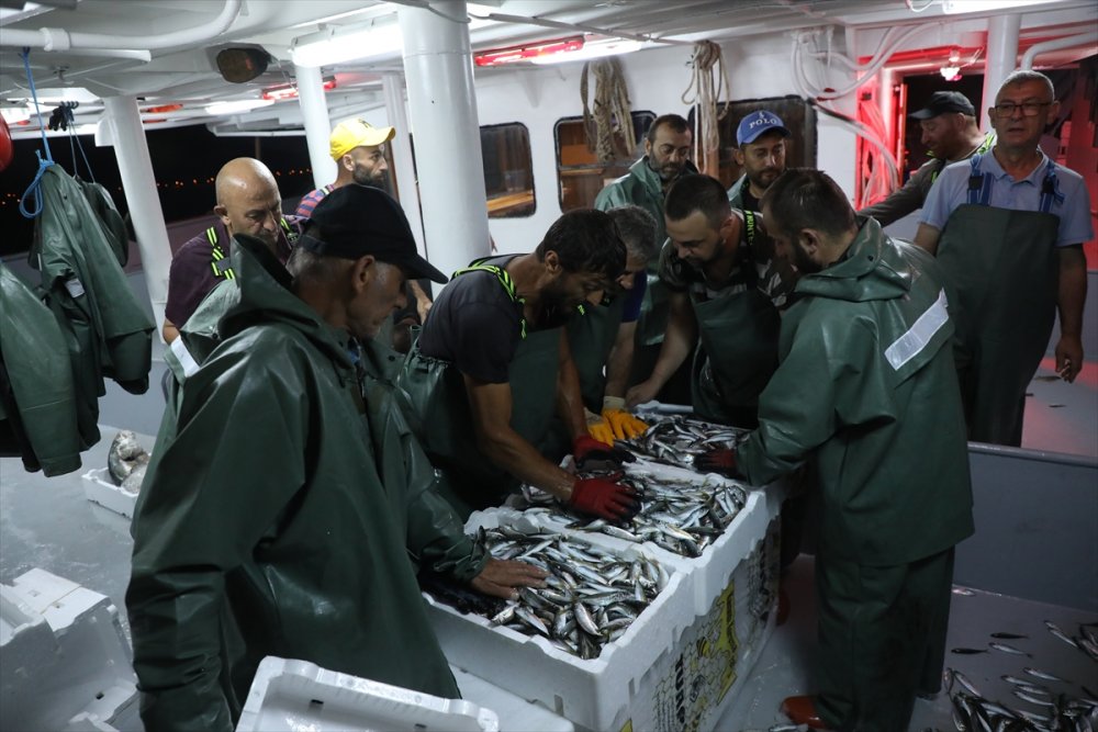 Yasak Bitti Karadenizli balıkçılar "Vira Bismillah" dedi