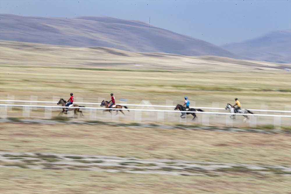 Erzurum'da "2. Geleneksel Rahvan At Yarışları" düzenlendi