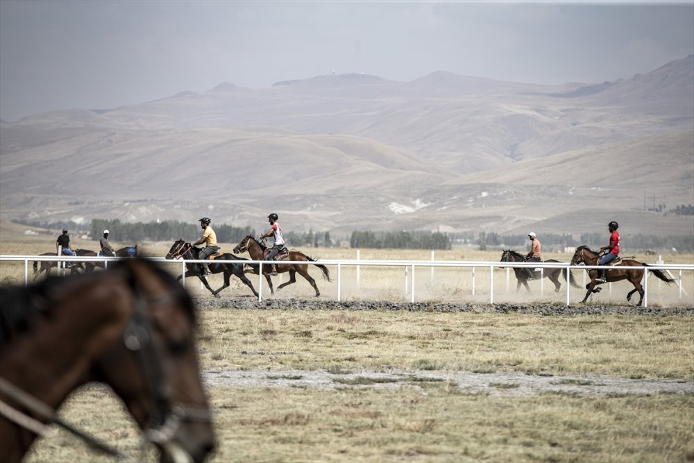 Erzurum'da "2. Geleneksel Rahvan At Yarışları" düzenlendi