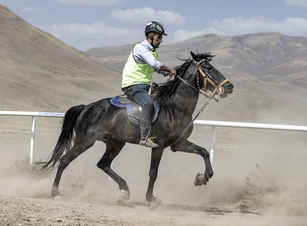 Erzurum'da "2. Geleneksel Rahvan At Yarışları" düzenlendi
