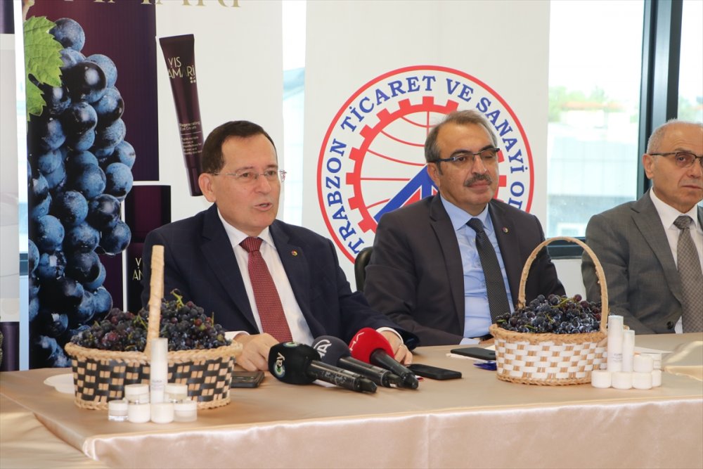 Trabzon'da isabella cinsi üzümden yapılan kremler tanıtıldı