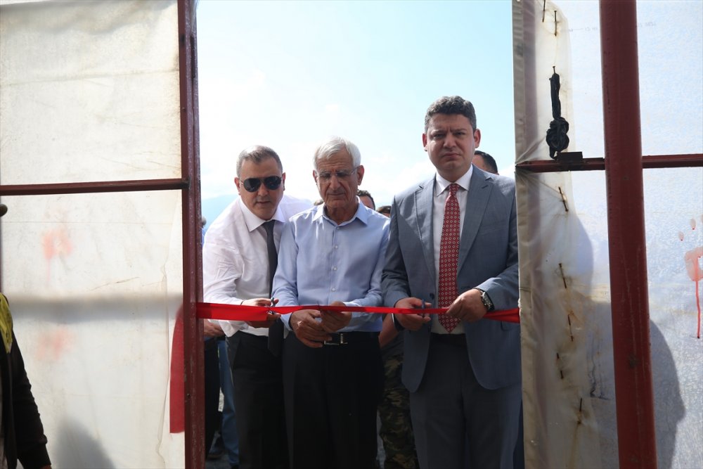 Hatay'da 18 Dönümde muz hasadı yapıldı