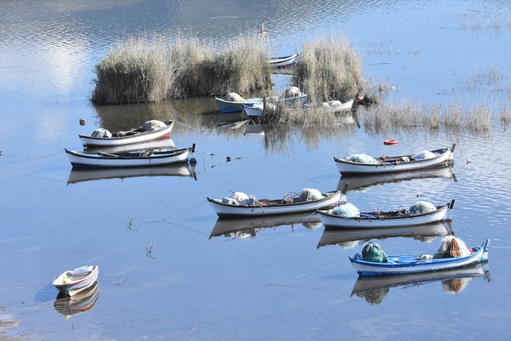 Bafa Gölü 261 kuş türüne ev sahipliği yapıyor
