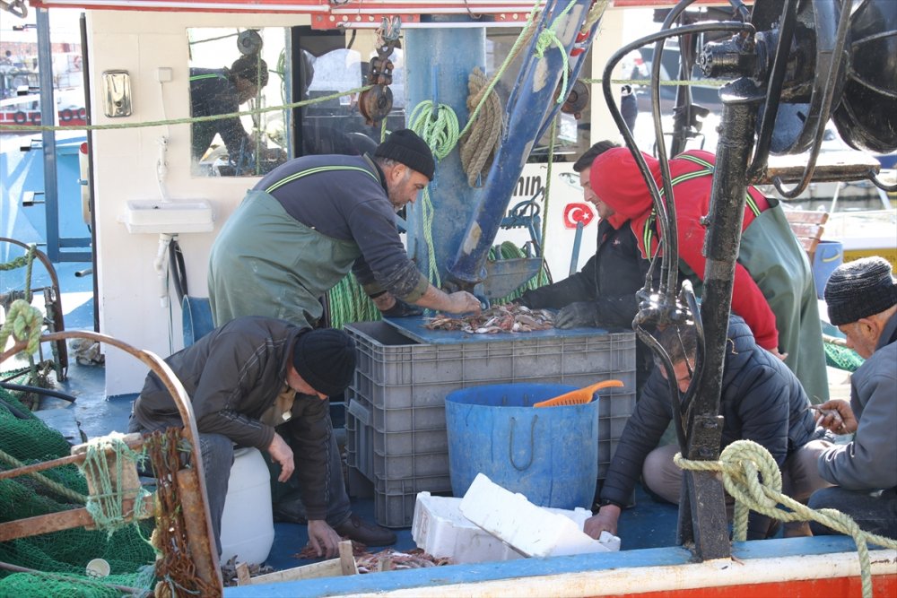Tekirdağ'da küçük tekne balıkçıları kıyıya karidesle döndü