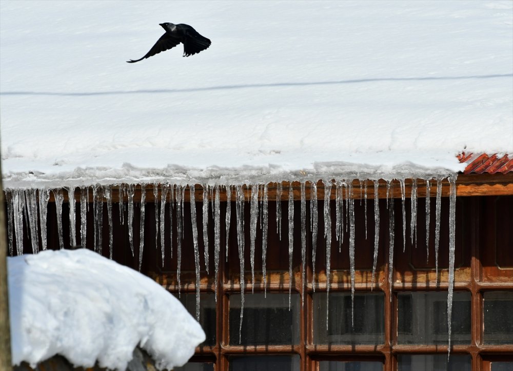 Doğu Anadolu'da gece en düşük sıcaklık sıfırın altında 19 derece ile Kars'ta ölçüldü
