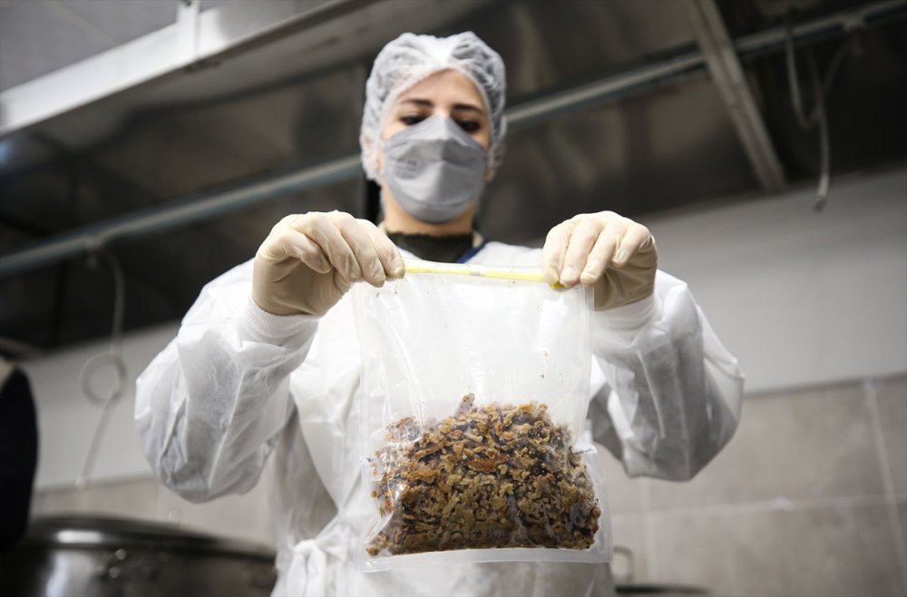 Büyük yıkımın yaşandığı Hatay'daki mutfaklar güvenilir gıda için sıkı takipte