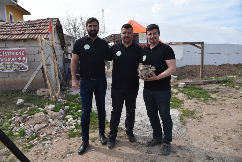 Çocukluk arkadaşı 3 mühendisin mantar mesaisi