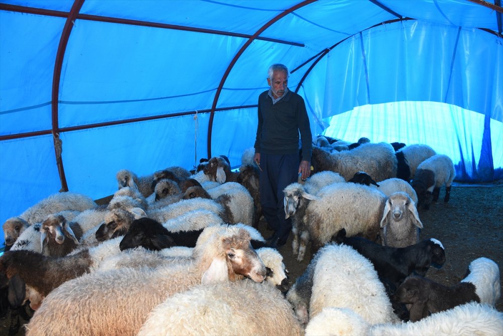 Adıyaman'da besiciler desteklerle ayağa kalkıyor